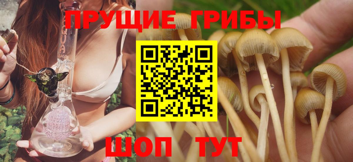 Галлюциногенные грибы MAGIC MUSHROOMS  Галлюциногенные грибы Magic Shrooms  Вход с VPN  Серпухов 